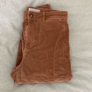 Everlane The Corduroy Wide-Leg Pant